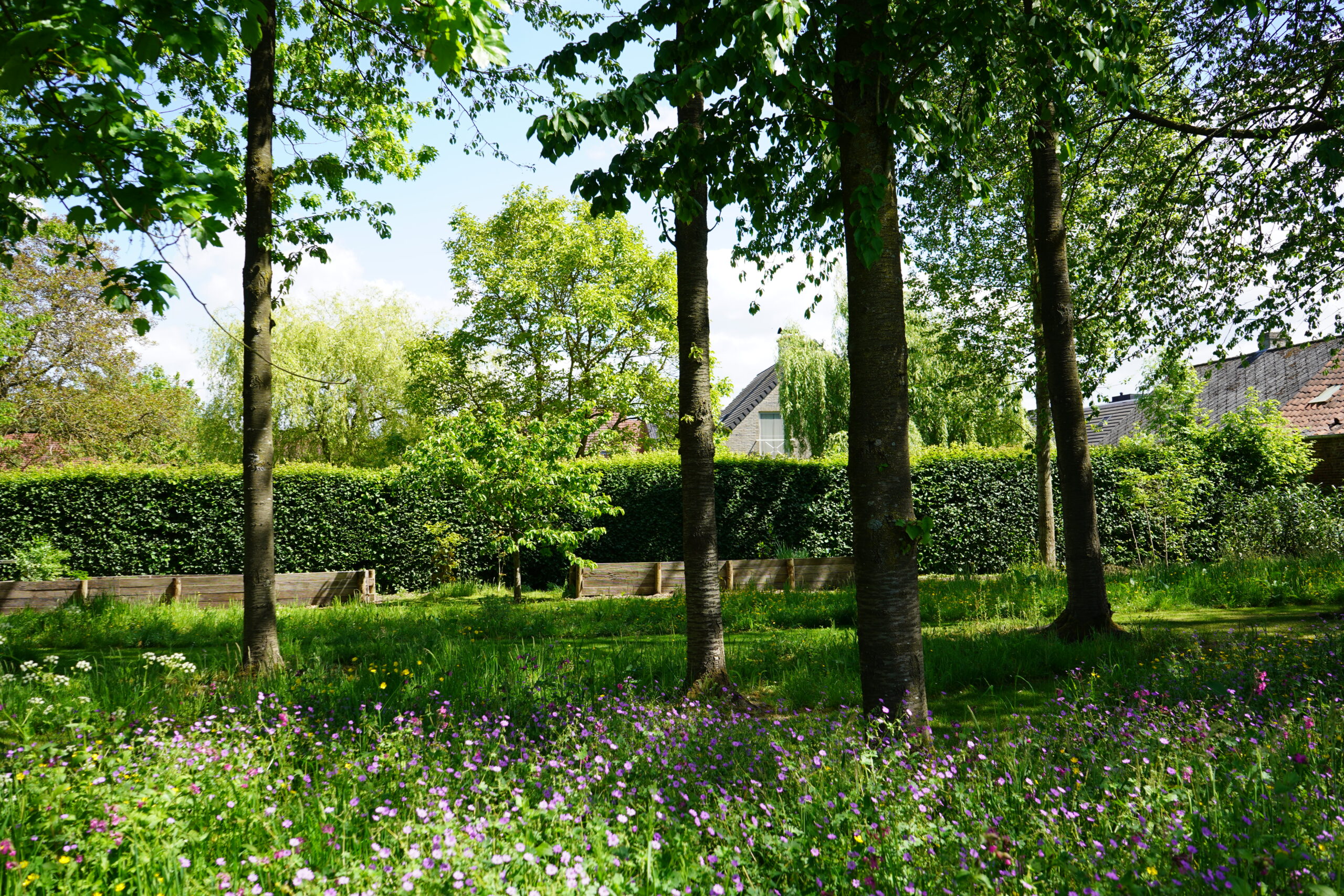 Roots Landscape | Nick Lambrecht Atelier voor Tuin- en Landschapsarchitectuur Gooik