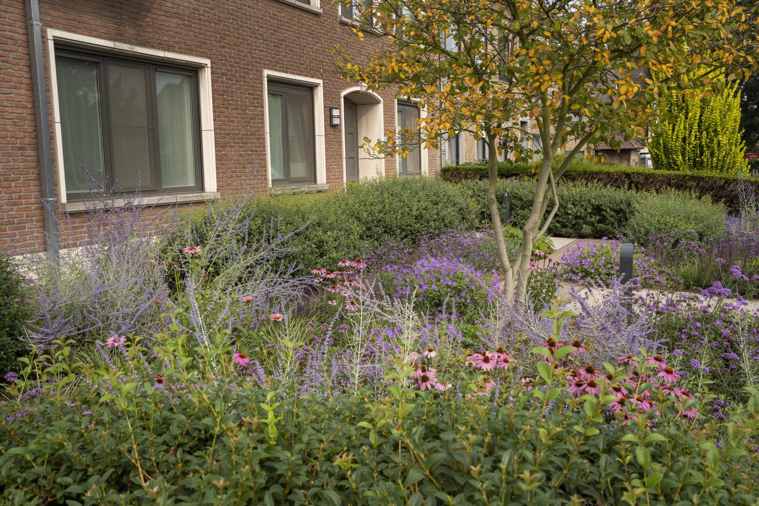 Roots Landscape | Nick Lambrecht Atelier voor Tuin- en Landschapsarchitectuur Gooik